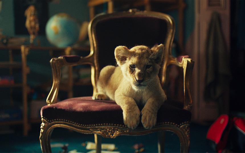 Топ лучших фильмов про львов