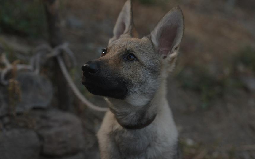 Сериал «Абрек»