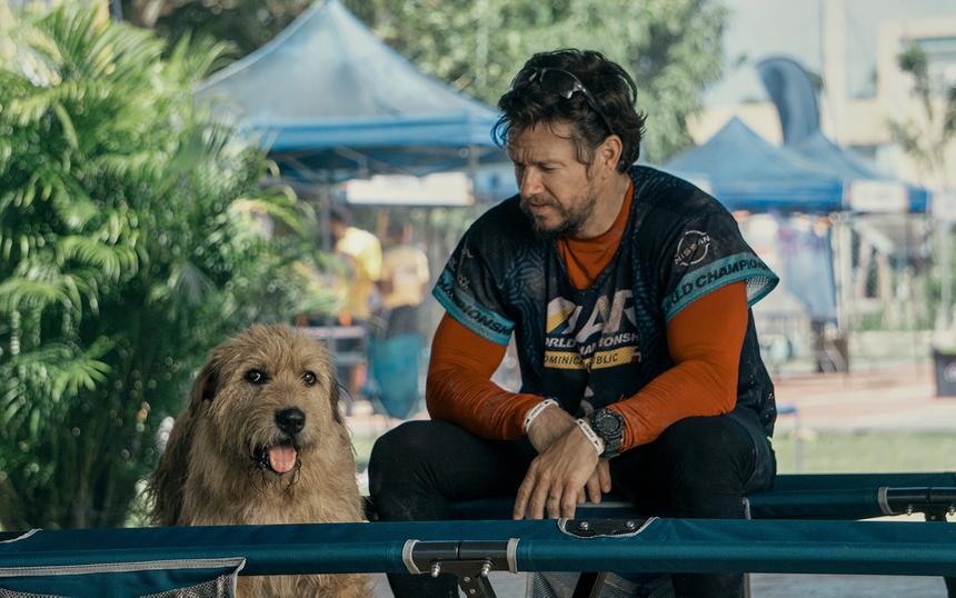 Кадр из фильма «Артур, ты король»