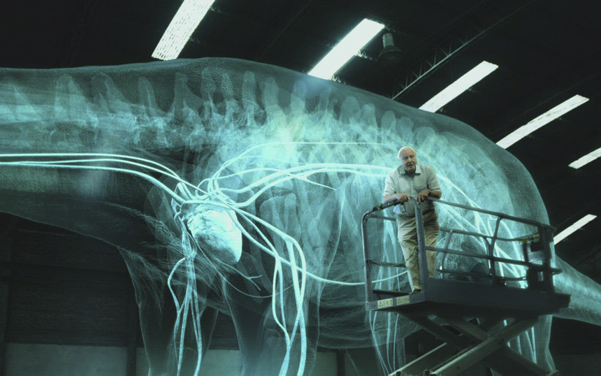 Лучшие документальные сериалы о динозаврах