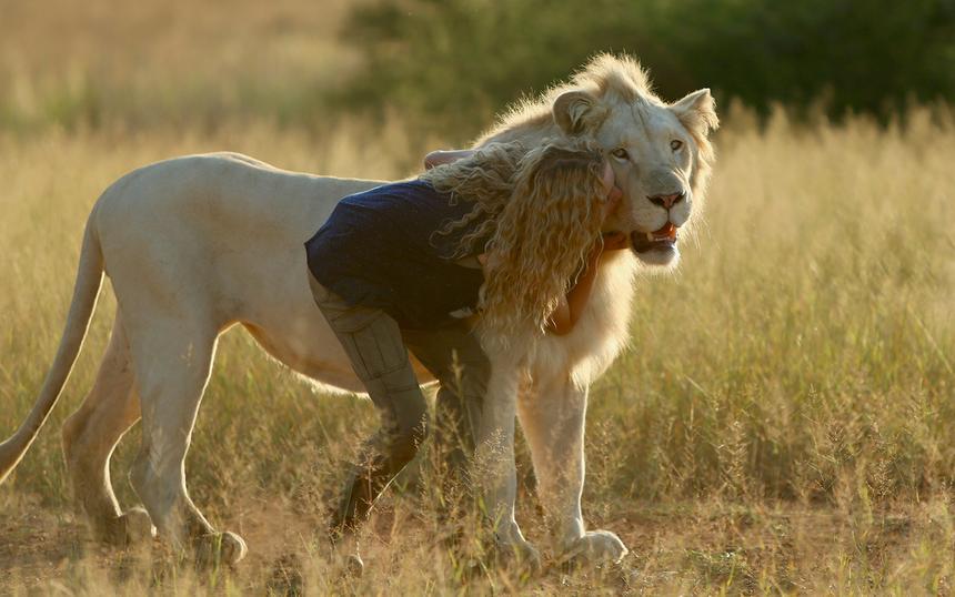 «Миа и белый лев»