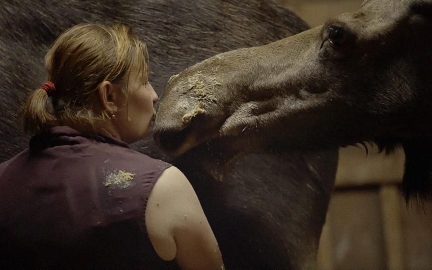 Кадр из фильма «Лосенок», 2023