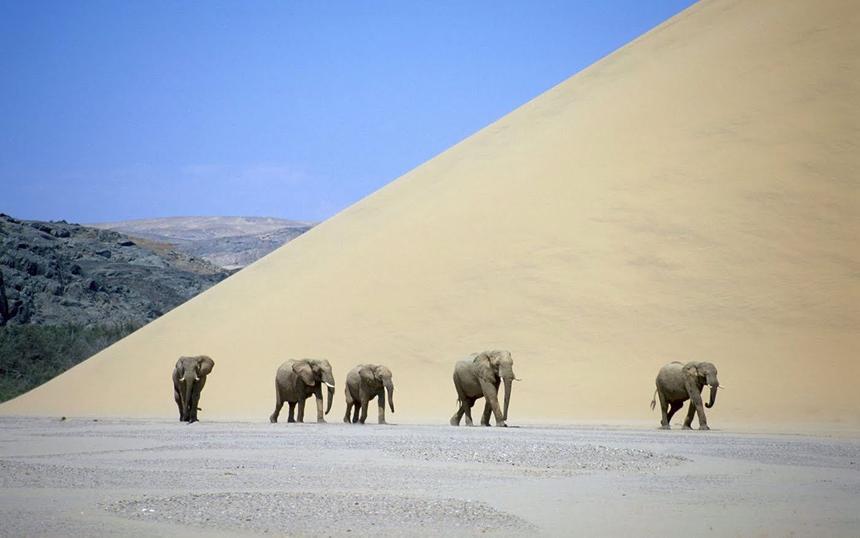 Кадр из фильма «Планета Земля»