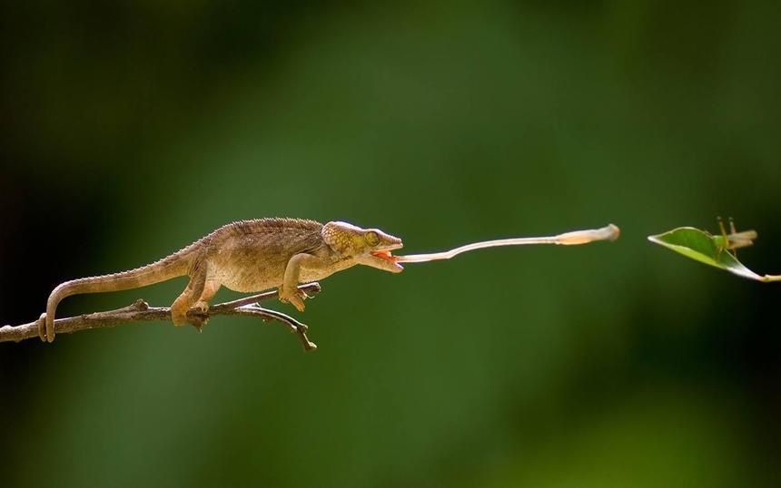 Документальный фильм «Жизнь»