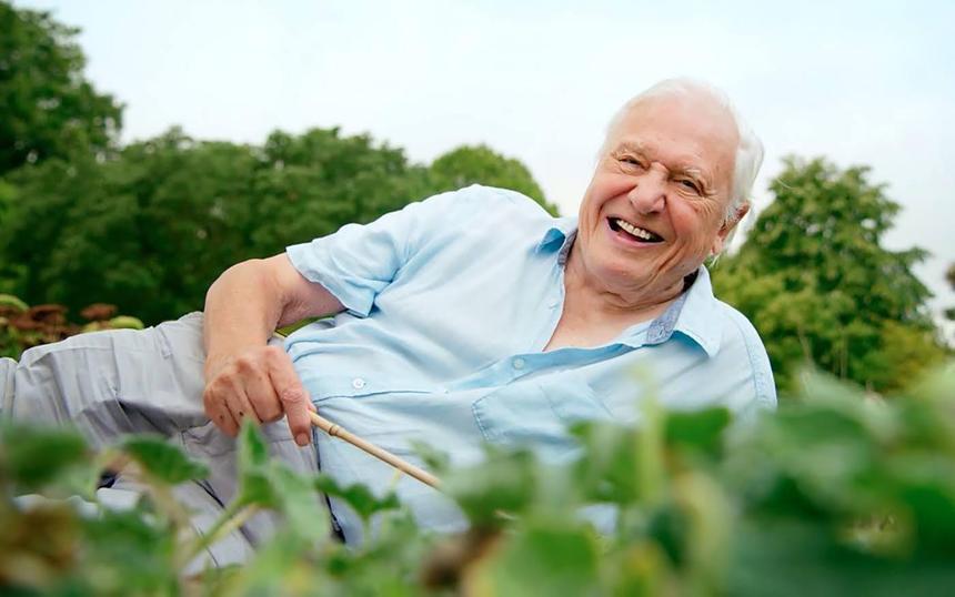 Кадр из фильма «Зеленая планета»