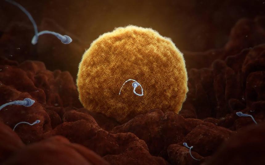 «Внутри человеческого тела»