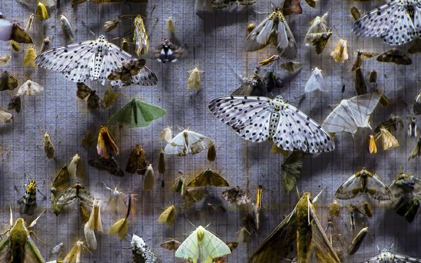 Фильмы победители фестиваля «Послание к человеку — 2024»