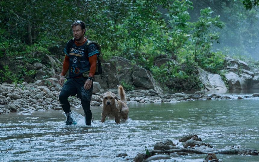 Кадр из фильма «Артур, ты король»