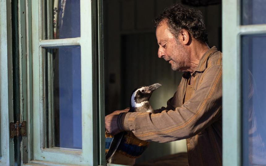 Кадр из фильма «Мой пингвин»