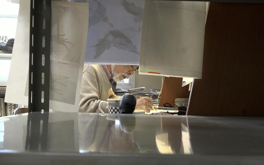 «Хаяо Миядзаки и птица»