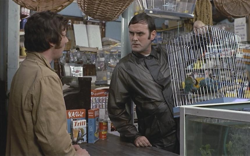 «А теперь нечто совсем другое»