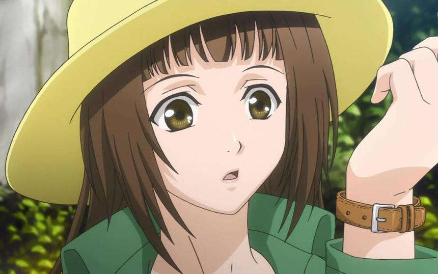 «Багровые осколки»