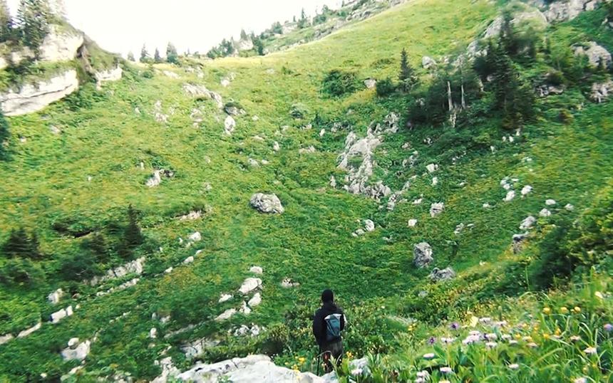 Какие фильмы были показаны на фестивале «Новое движение» в 2025 году