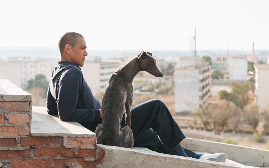 «Черный пес»