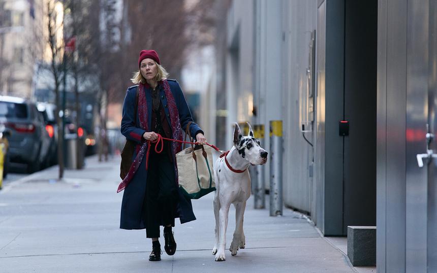 Кадр из фильма «Верный друг»