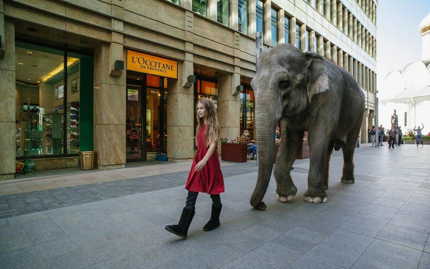 Кадр из фильма «Волшебники»