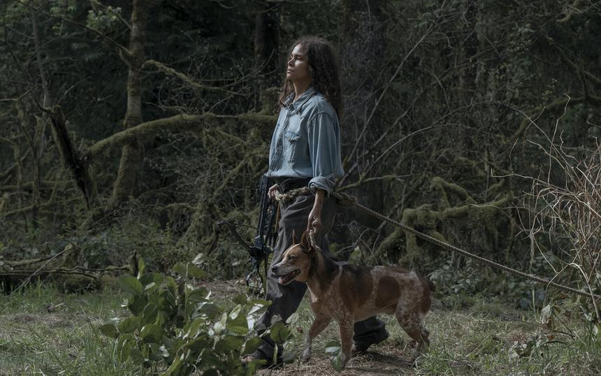 «Затерянное место»: трейлер, кадры, сюжет, рецензия