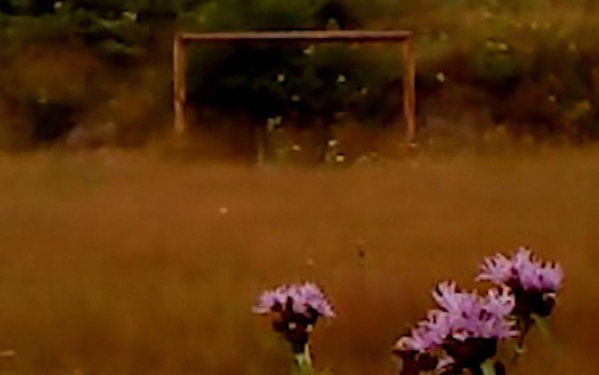 Какие фильмы показали на фестивале в Локарно в 2025 году