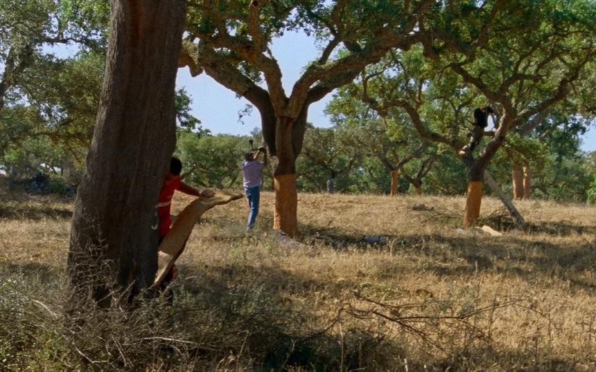 Кадр из фильма «Времена года»