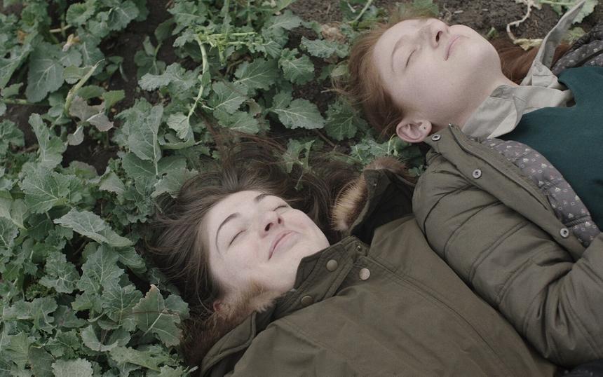 «Клетка ищет птицу»