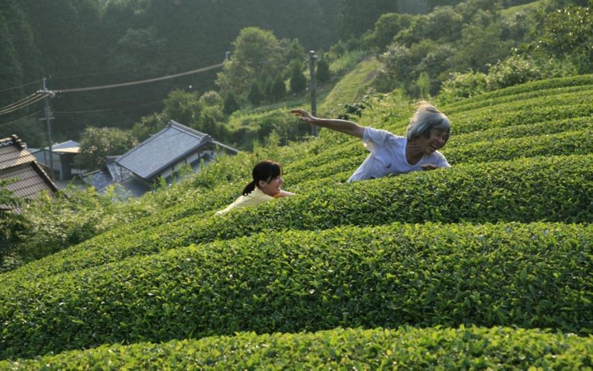 Кадр из фильма «Траурный лес»