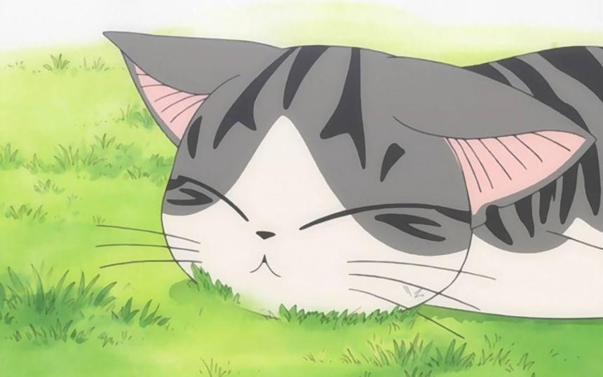 Топ лучших аниме о животных