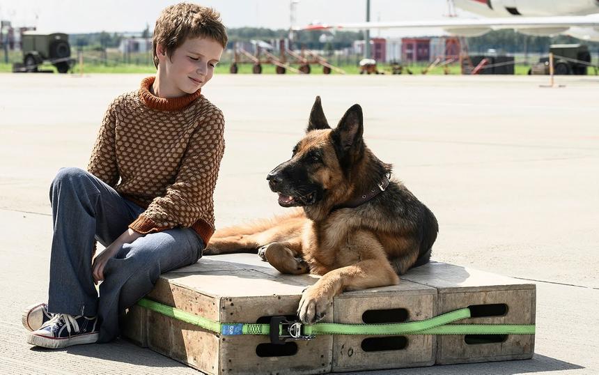 Кадр из фильма «Пальма»