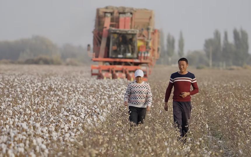 Гид по фестивалю «Докер-2025»