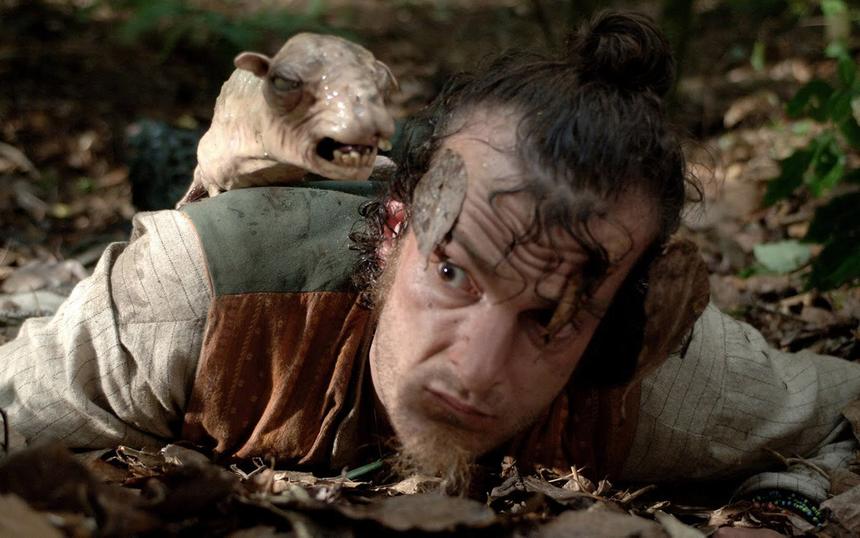 Топ лучших фильмов ужасов про животных