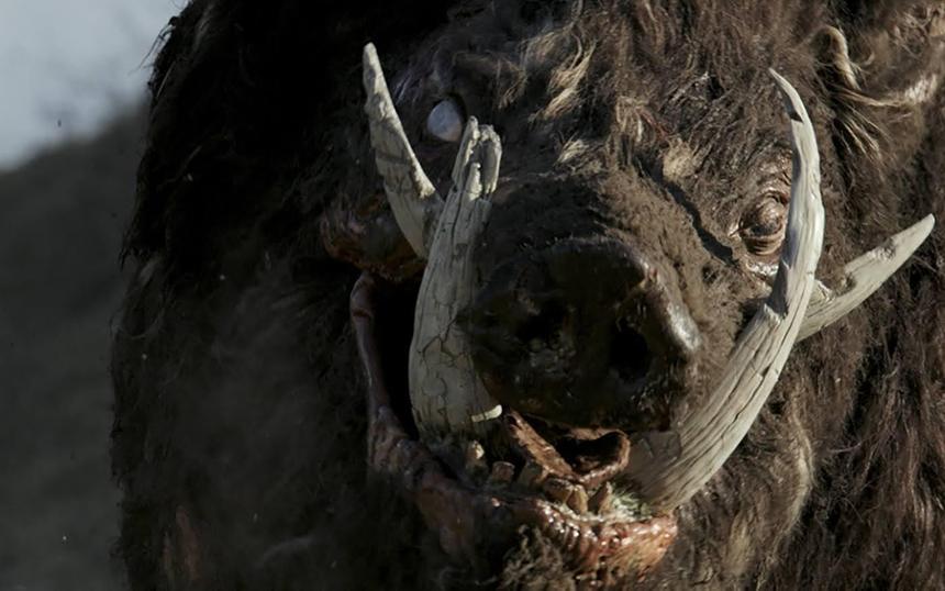 Фильмы ужасов про диких животных