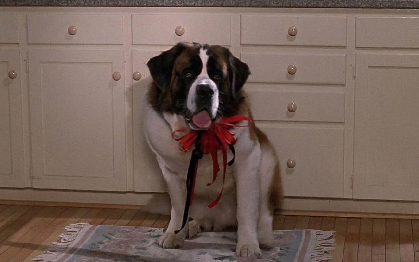 Кадр из фильма «Бетховен»