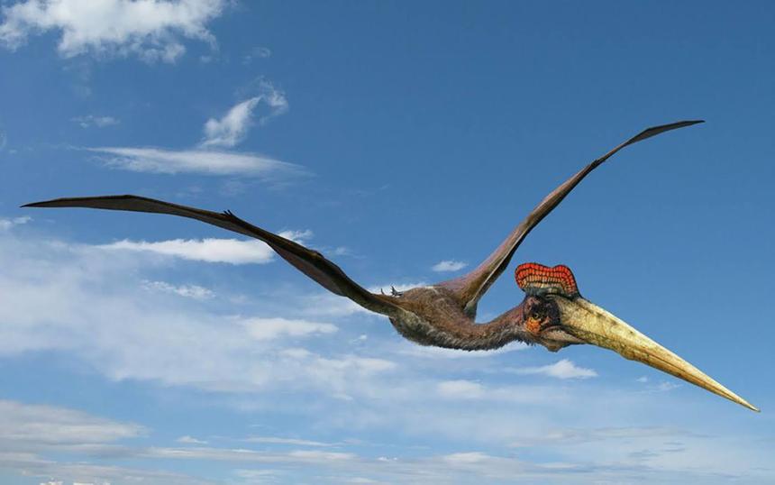 «Крылатые монстры»