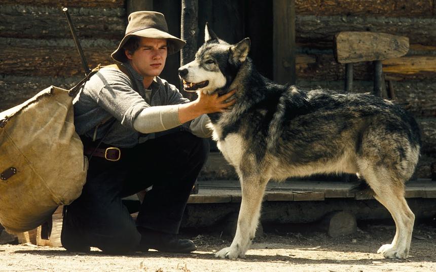 «Белый Клык», 1991