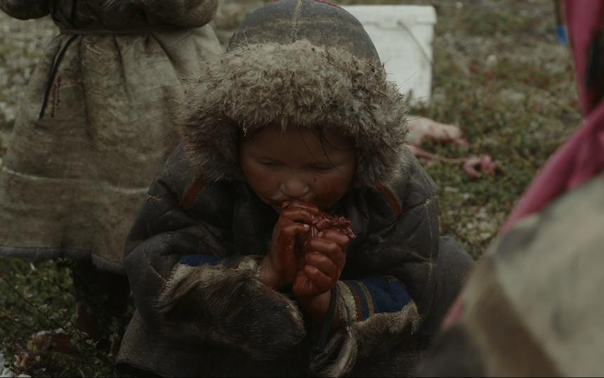 Кадр из фильма «У ветра нет хвоста»