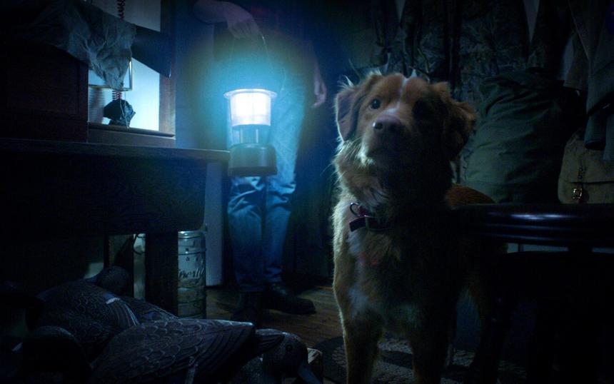 Какие фильмы выйдут в кинотеатрах в октябре 2025 года