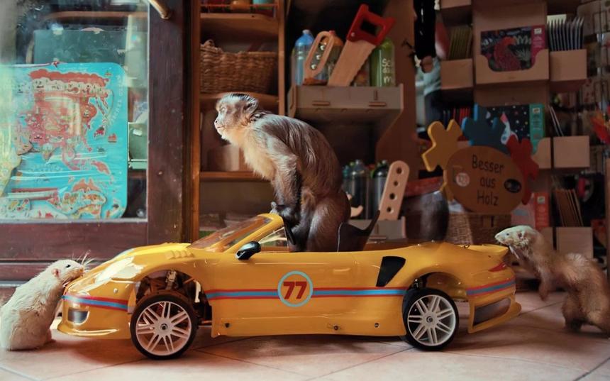 «Побег из зоопарка»