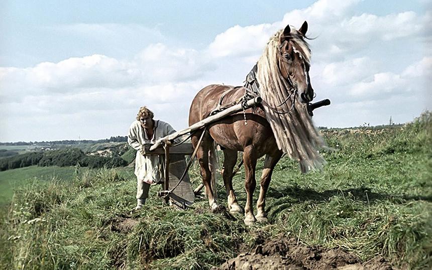 Кадр из фильма «Финист»
