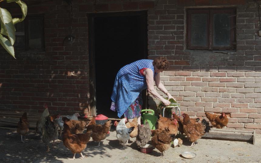 «Послание к человеку — 2025»: топ самых интересных фильмов