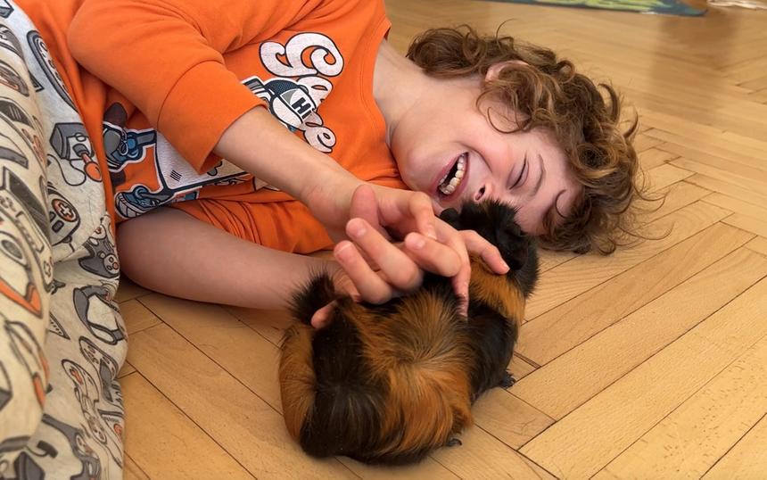 Какие фильмы покажут на фестивале «Послание к человеку» в 2025 году