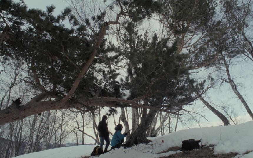 Самые интересные фильмы фестиваля «Послание к человеку» 2025 года