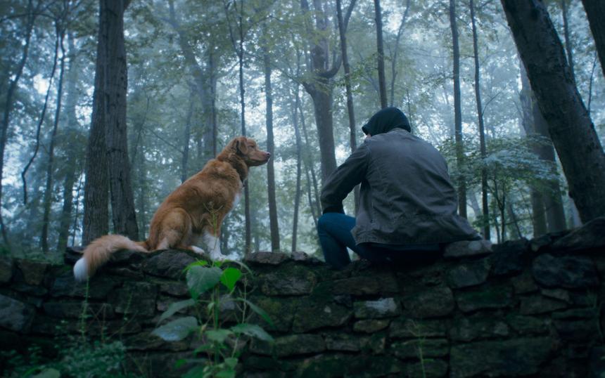 Фильм «Глазами пса»: трейлер, кадры, сюжет, рецензия