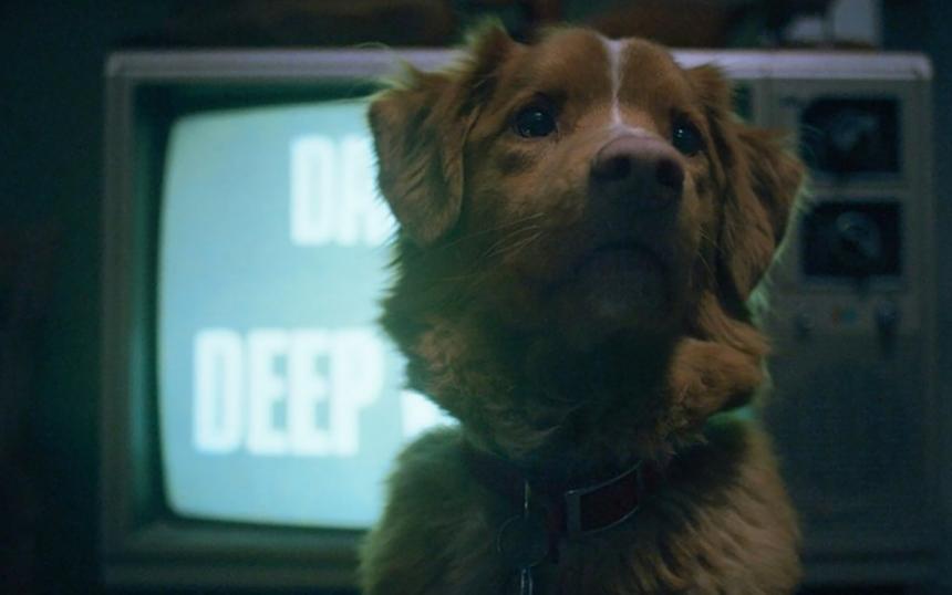 Рецензия на фильм «Глазами пса»