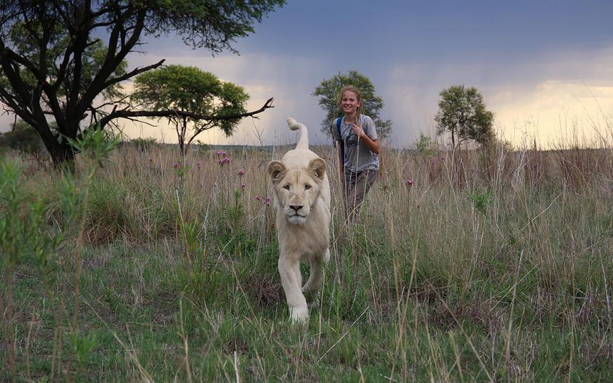 «Миа и белый лев»