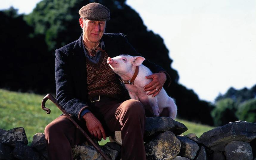 Кино про животных