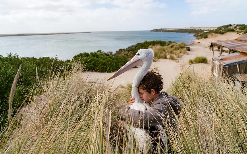 «Мой друг мистер Персиваль»