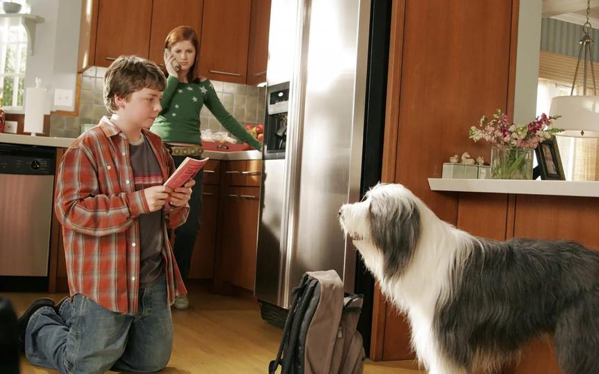 Лучшие фильмы про животных