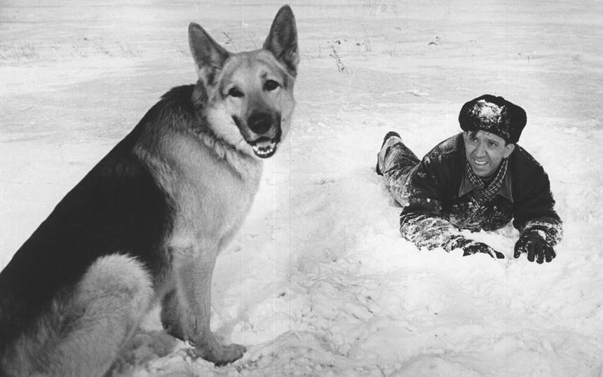 «Ко мне, Мухтар!»