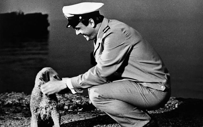 «Соленый пес»