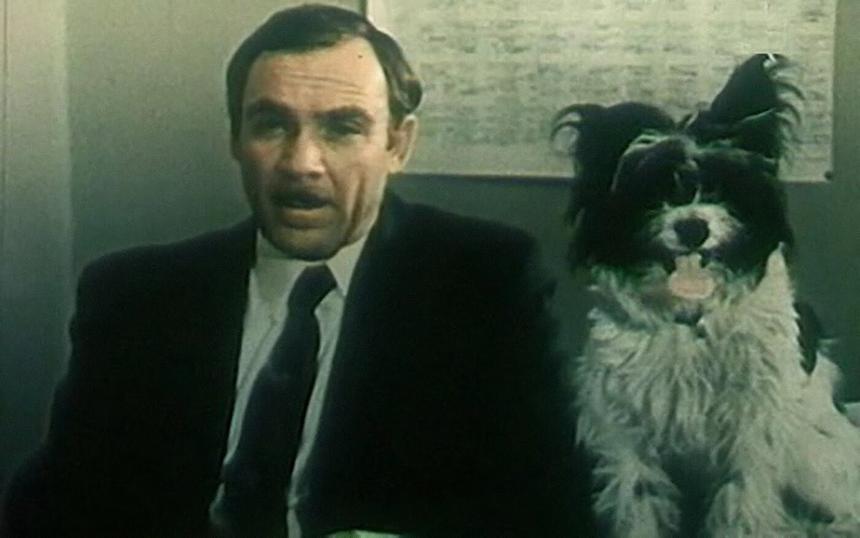 «Кыш и Двапортфеля»