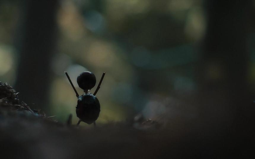 «Каштановый человечек»